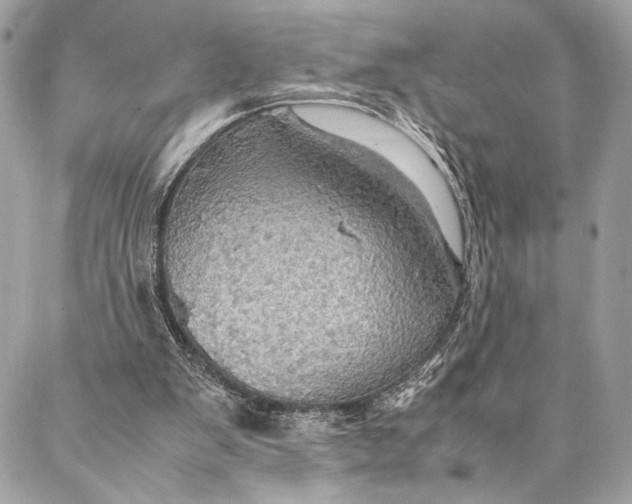 X0000086940103200705071428