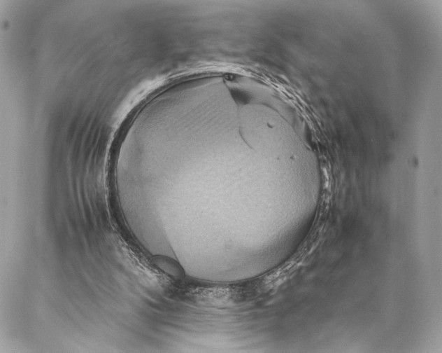 X0000086940104200705071428