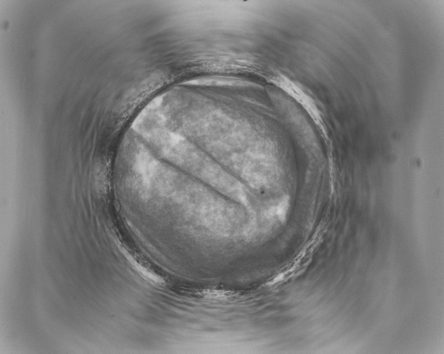 X0000086940105200705071428