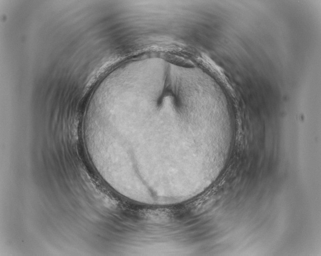 X0000086940106200705071428