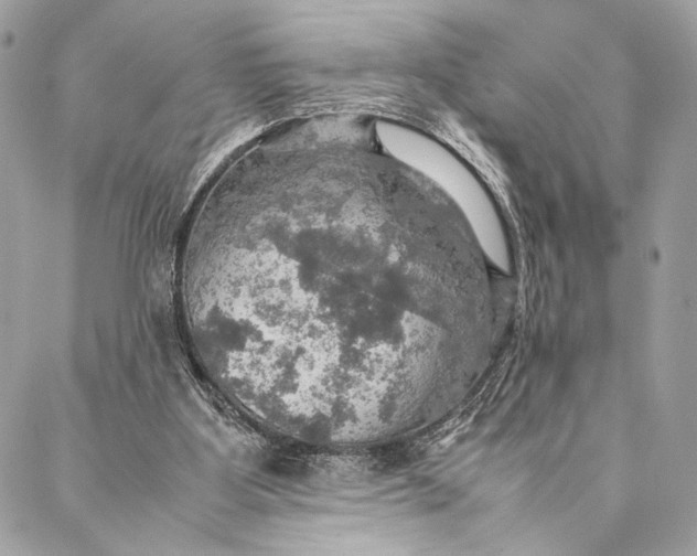 X0000086940107200705071428