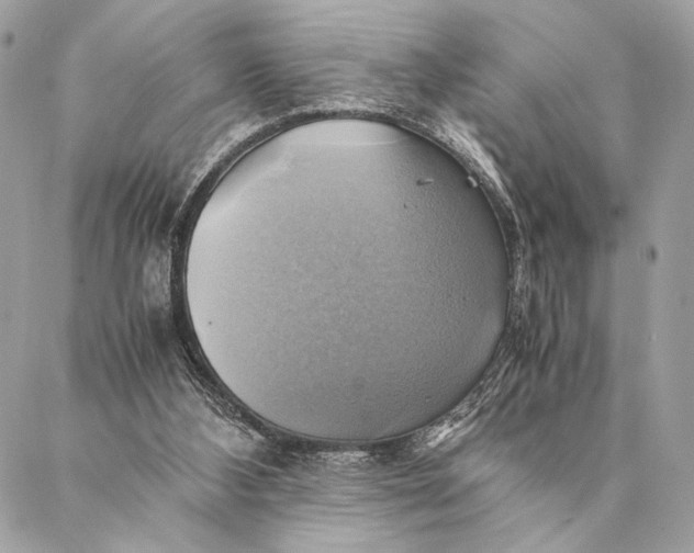 X0000086940108200705071428