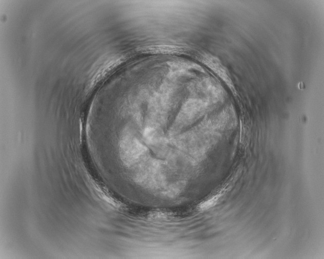 X0000086940109200705071428