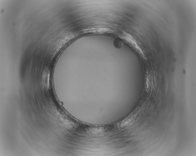 X0000086940110200705071428