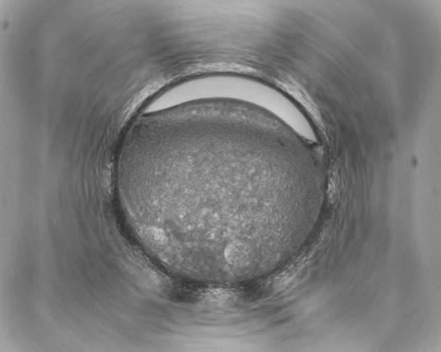 X0000086940111200705071428