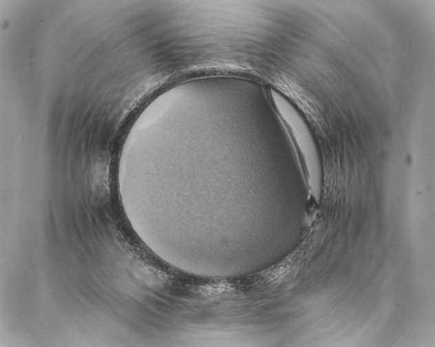 X0000086940112200705071428