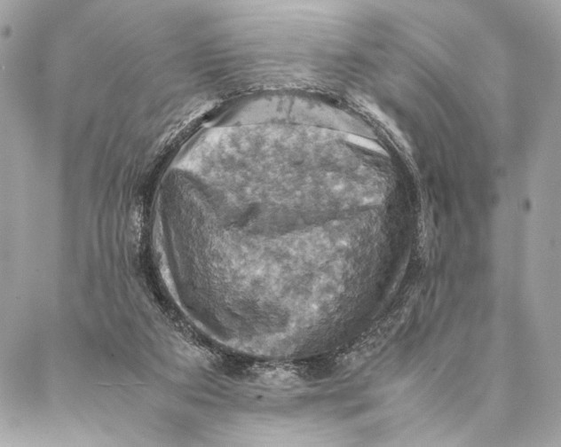 X0000086940113200705071428