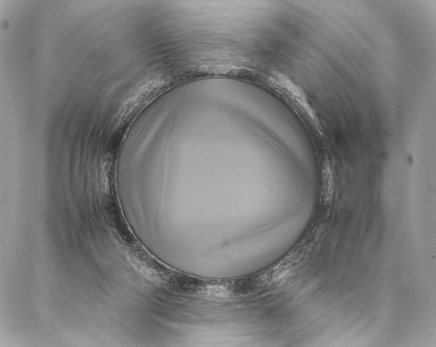 X0000086940114200705071428