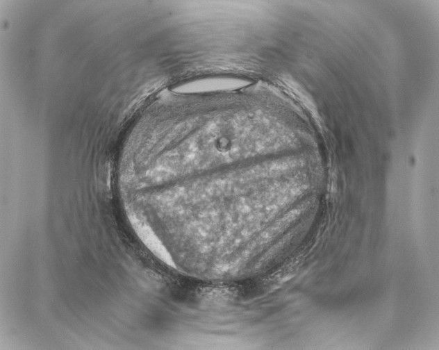 X0000086940115200705071428