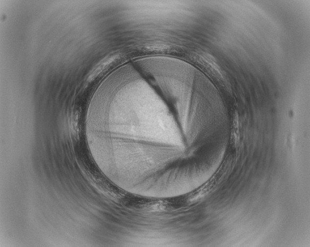 X0000086940116200705071428