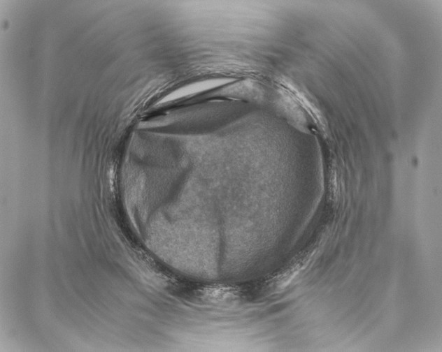 X0000086940117200705071428