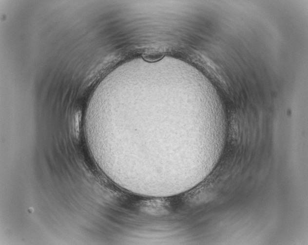 X0000086940118200705071428