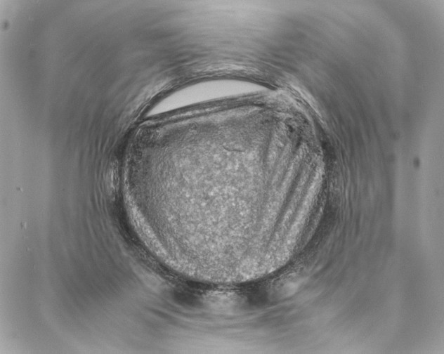 X0000086940119200705071428