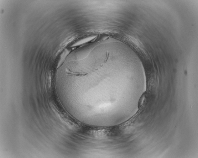 X0000086940120200705071428