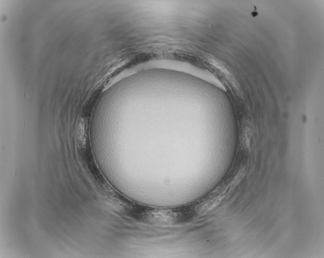 X0000086940121200705071428