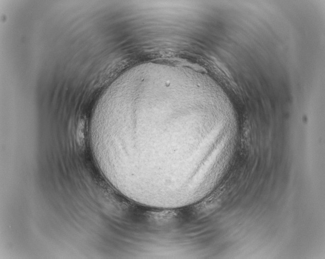 X0000086940122200705071428