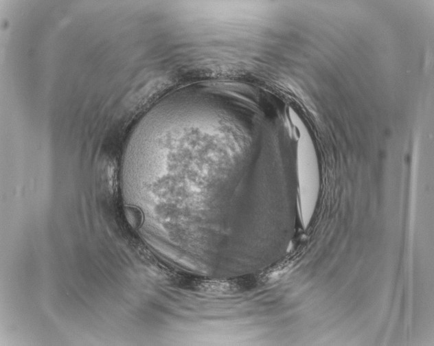 X0000086940123200705071428