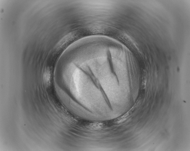 X0000086940124200705071428