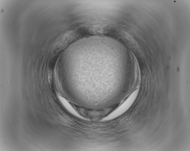 X0000086940125200705071428