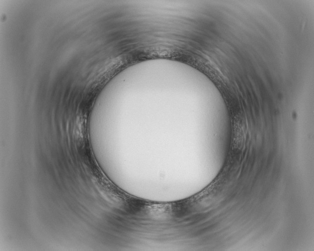 X0000086940126200705071428