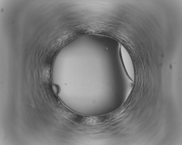 X0000086940127200705071428