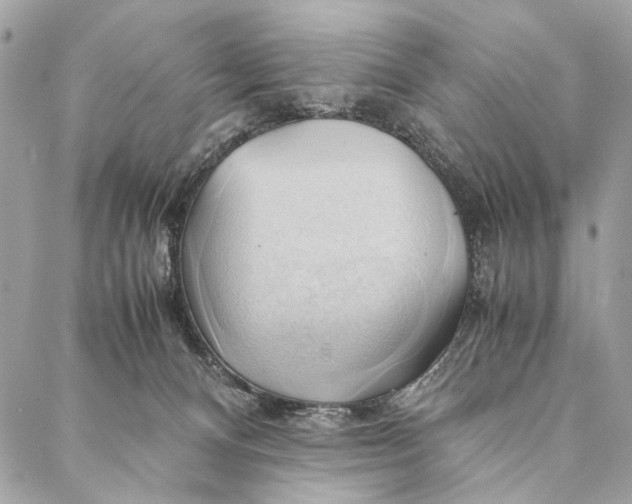 X0000086940128200705071428