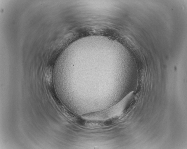 X0000086940129200705071428