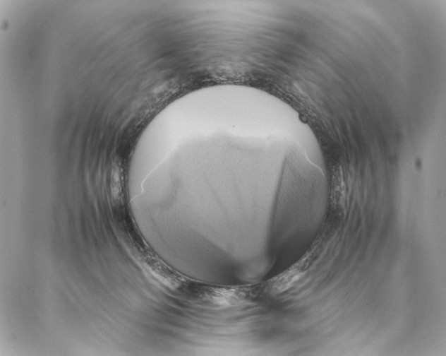 X0000086940130200705071427