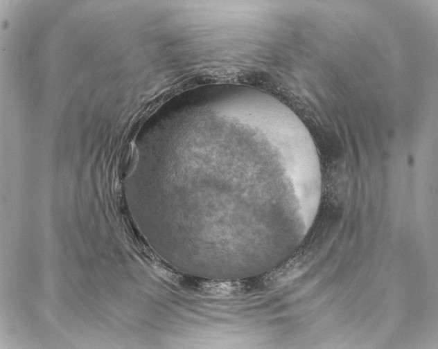 X0000086940131200705071427