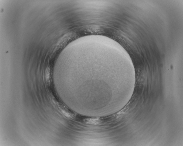 X0000086940132200705071427