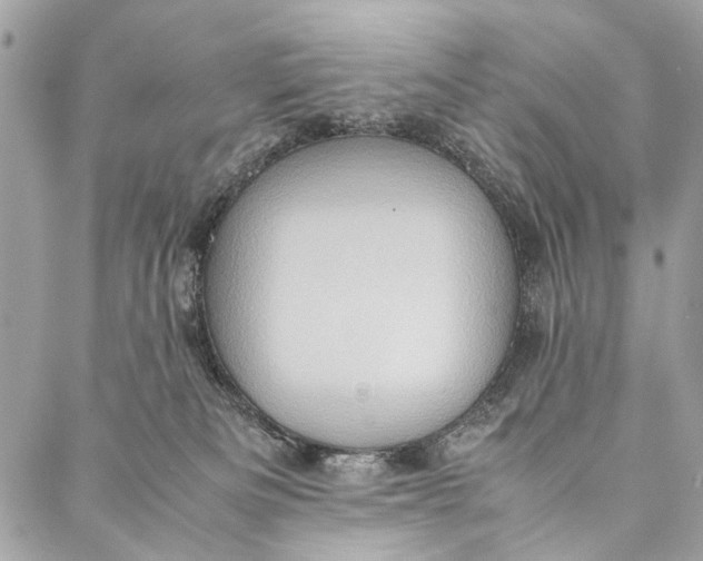 X0000086940133200705071427