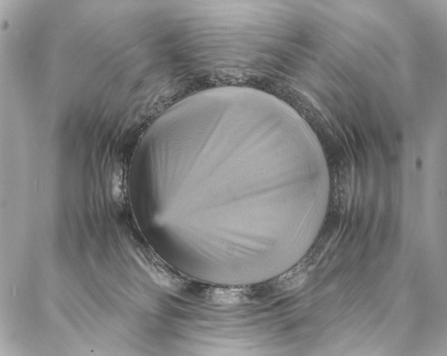 X0000086940134200705071427