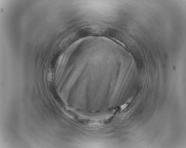 X0000086940137200705071427