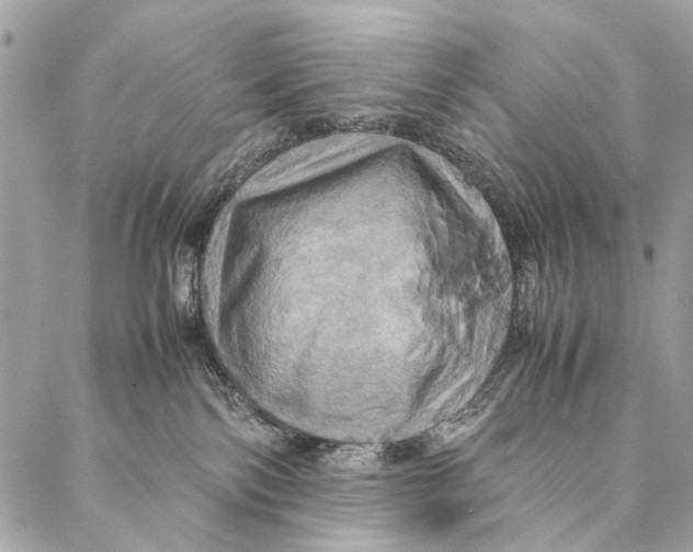 X0000086940138200705071427