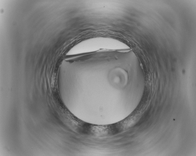 X0000086940139200705071427