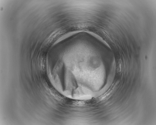 X0000086940140200705071427