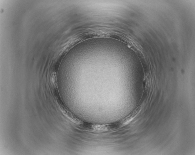 X0000086940141200705071427