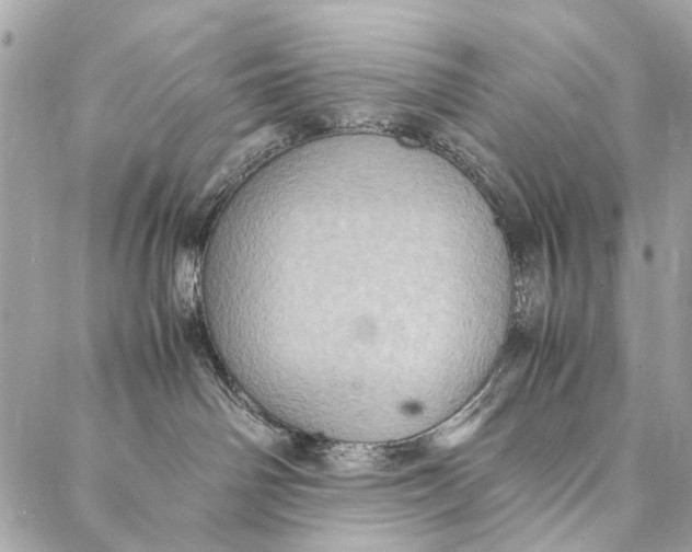 X0000086940142200705071427