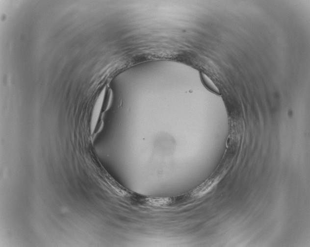 X0000086940143200705071427