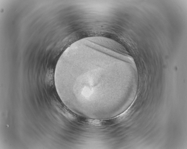 X0000086940144200705071427