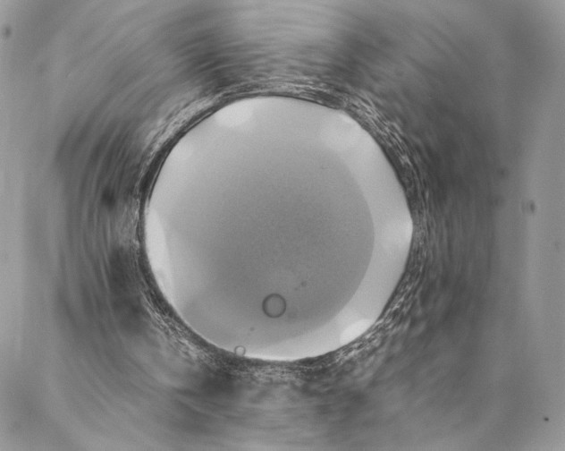 X0000086940146200705071427