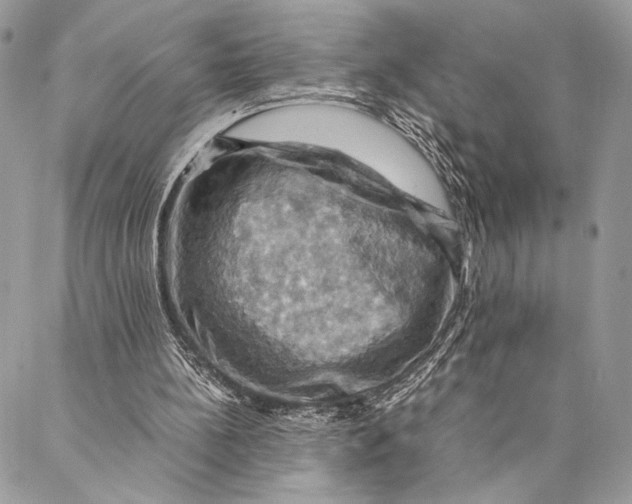 X0000086940148200705071427