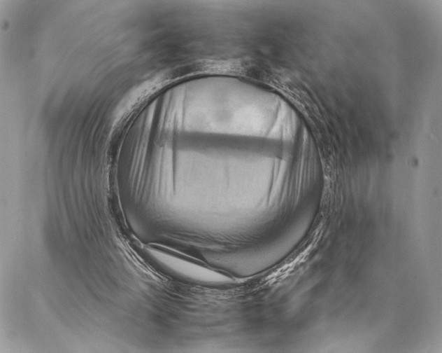 X0000086940149200705071427