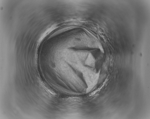 X0000086940150200705071427