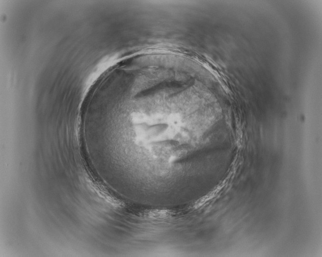 X0000086940152200705071427