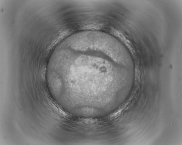 X0000086940153200705071427