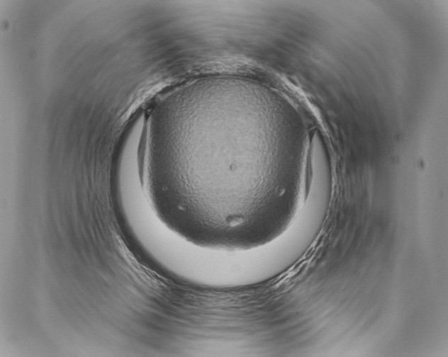 X0000086940154200705071427