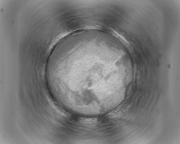 X0000086940155200705071427