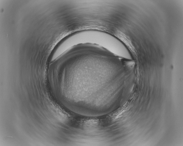 X0000086940156200705071427