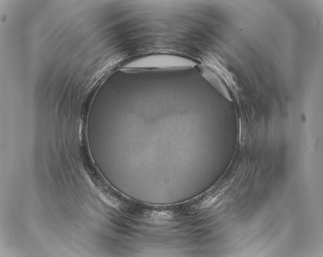 X0000086940157200705071427